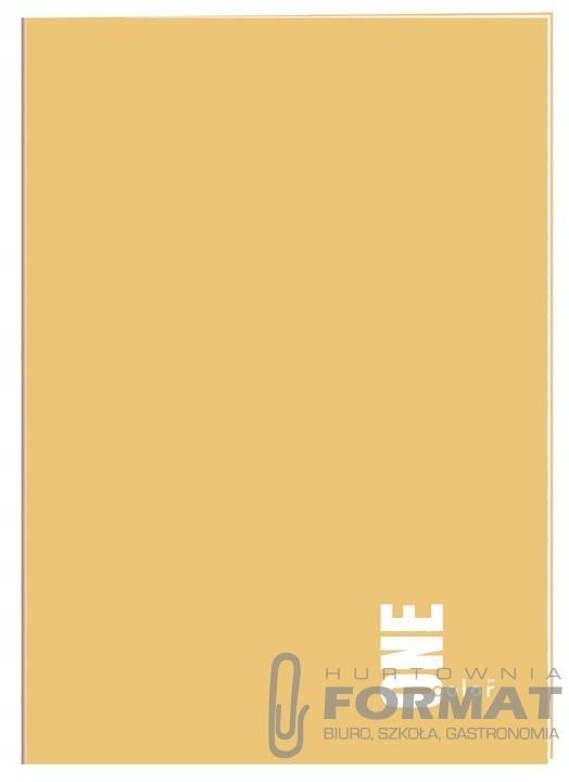 ZESZYT A4/80 kratka ONE COLOR 1