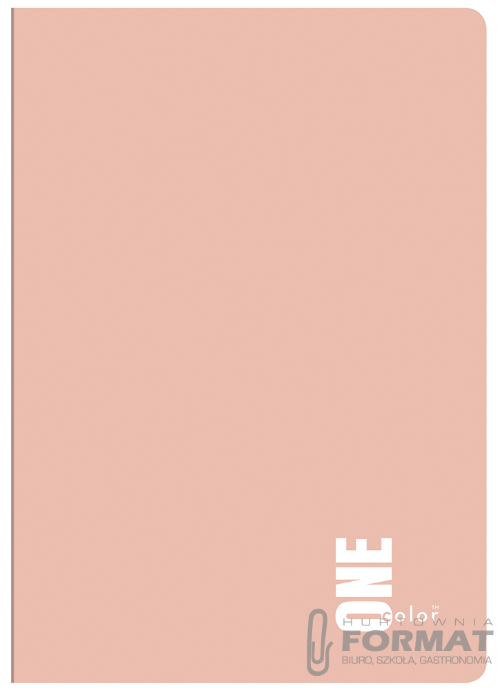 ZESZYT A5/16 kratka ONE COLOR 1