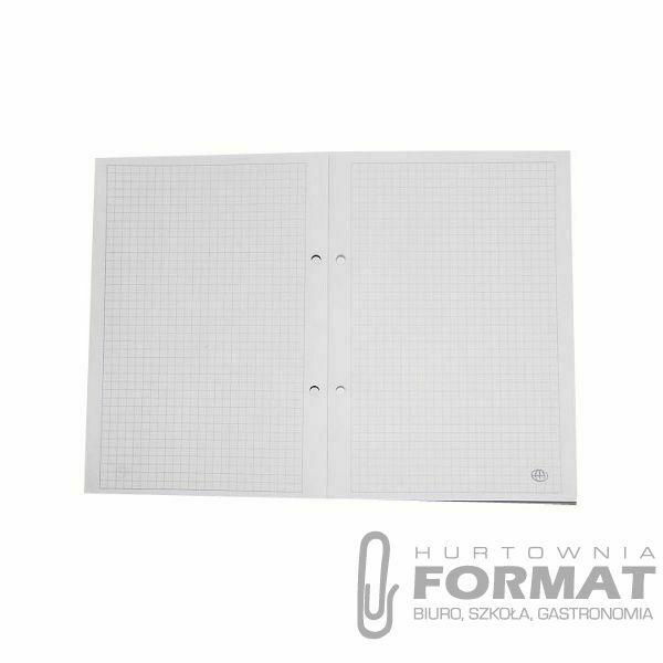 WKŁAD DO SEGREGATORA A5/100 BIAŁY INTER 1