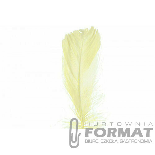 Piórka kremowe 15 g 1