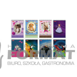 KOŁOZESZYT A7 40K KRATKA PP 1