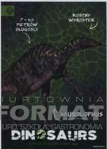 WKŁAD DO SEGREGATORA A6 DINOZAUR 1