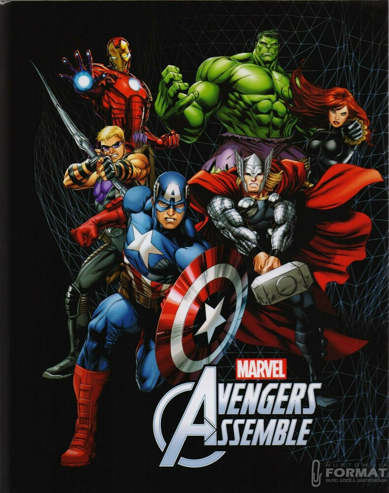 WKŁAD DO SEGREGATORA A6 AVENGERS 1