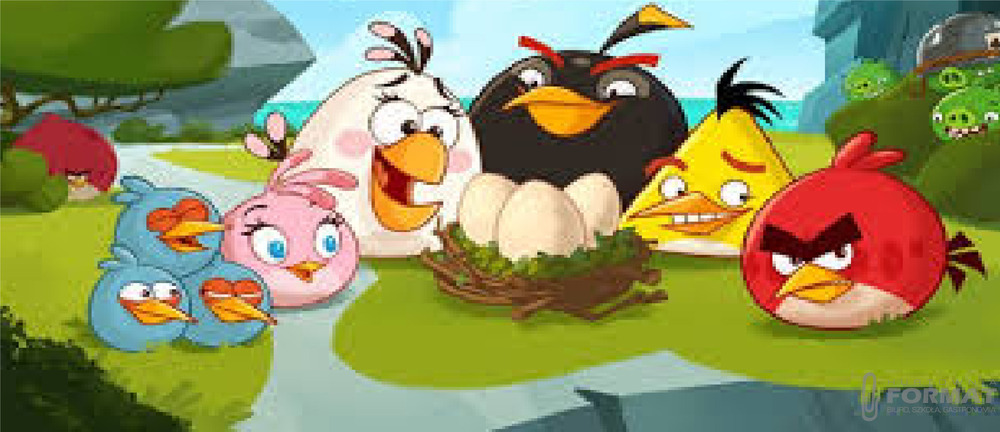 WKŁAD DO SEGREGATORA A5 ANGRY BIRDS 1
