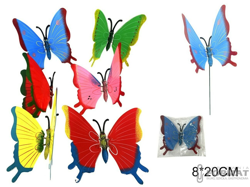 MOTYL 1