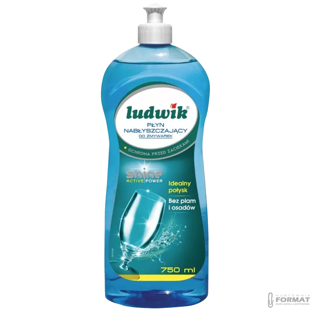 NABŁYSZCZACZ DO ZMYWARKI LUDWIK 750ML 1