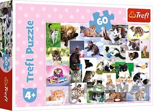 PUZZLE KOCI ŚWIAT 60el. 17332 1