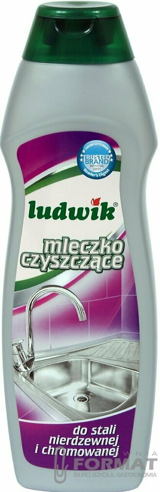 LUDWIK MLECZKO CZYSZCZĄCE 300ml stal chrom 1
