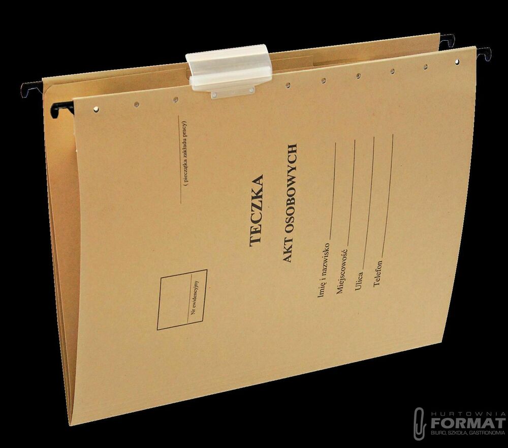 Teczka zawieszkowa Esselte A4 siarczanowy karton 230g (15212) 1