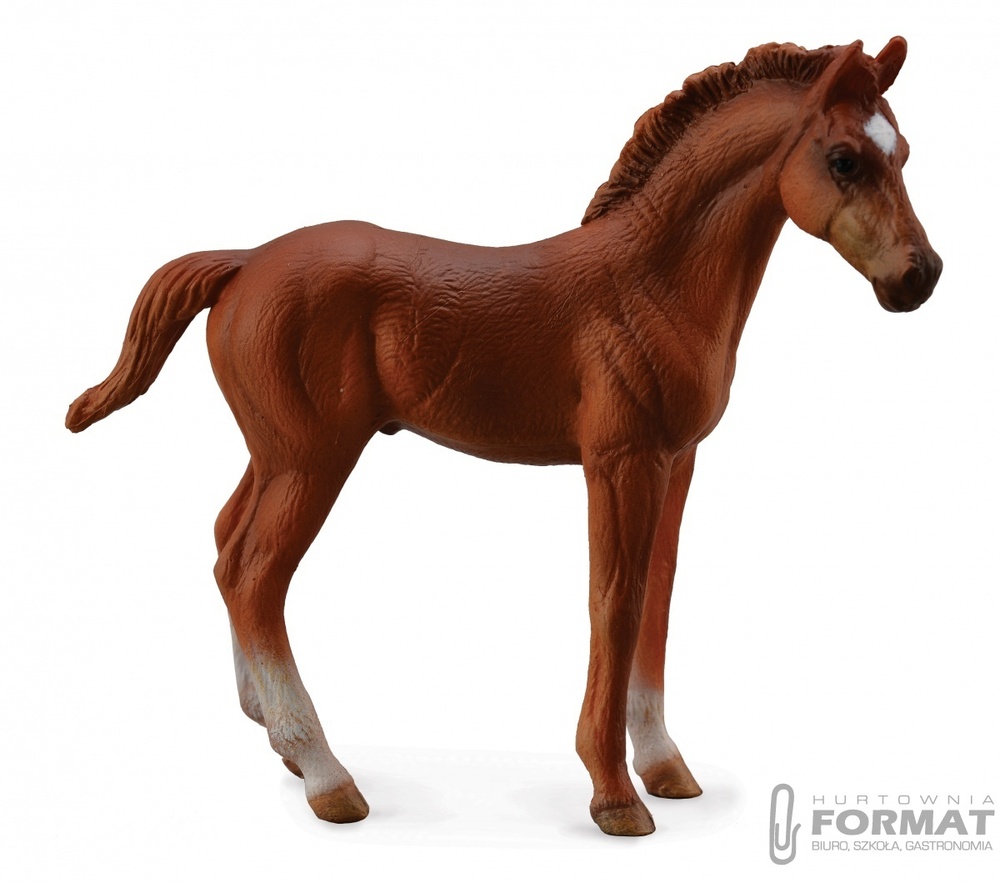 ŹREBIĘ THOROUGHBRED FOAL 88671 ROZMIAR M 1