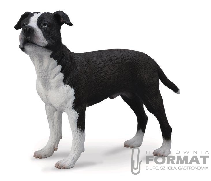 PIES AMERICAN STAFFORDSHIRE 88610 ROZMIAR L 1