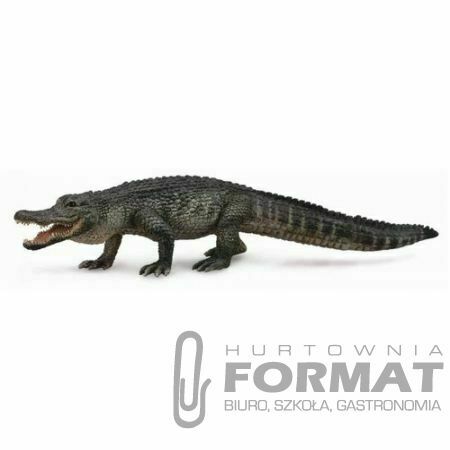 ALIGATOR AMERICAN 88609 ROZMIAR L 1
