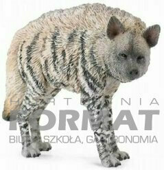 HIENA PRĄŻKOWANA 88566 ROZMIAR M 1