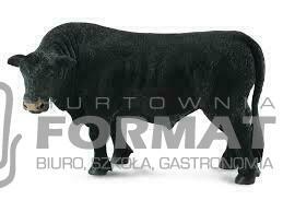 BYK CZARNY ANGUS ROZMIAR L 88507 1