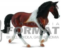KLACZ RASY STALION PINTO SPAC ROZMIAR XL 88450 1