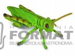 Konik polny 88352 COLLECTA 1