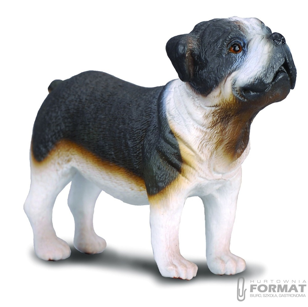 Pies rasy Buldog COLLECTA 1