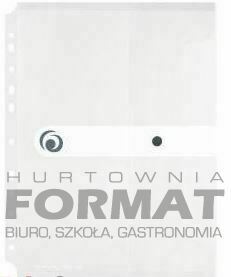 Teczka na dokumenty A4 PP biała transpa z europerf 1
