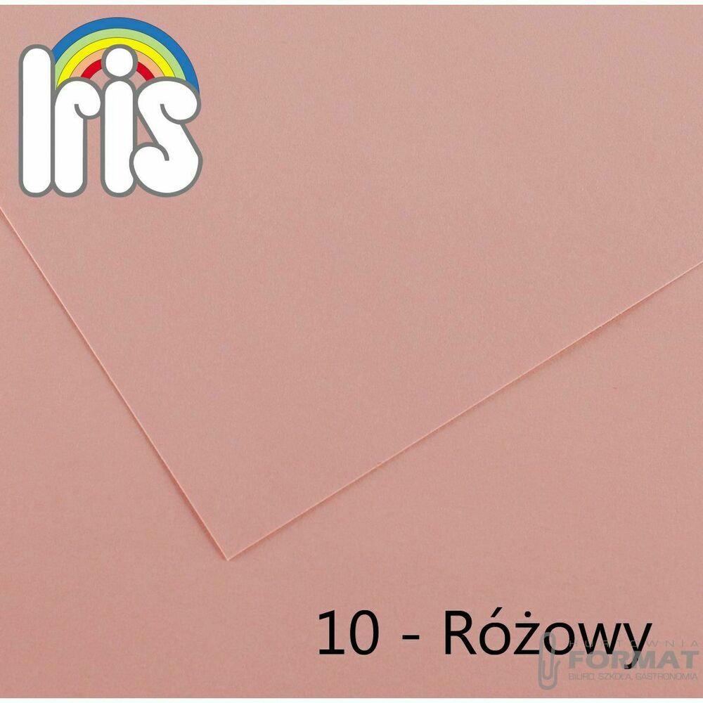 Brystol Canson Iris 10 A4 różowy 120g 100k (200040009) 1