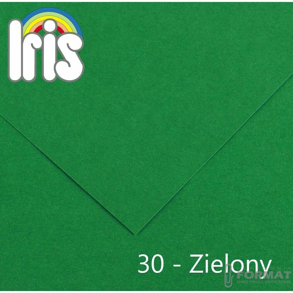 Brystol Canson Iris 30 A4 zielony 120g 100k (200040029) 1