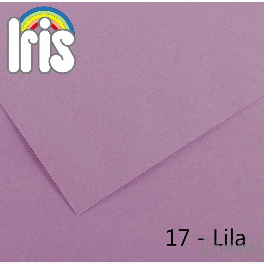 Brystol Canson IRIS liliowy 185g 25k [mm:] 500x650 (200040230) 1