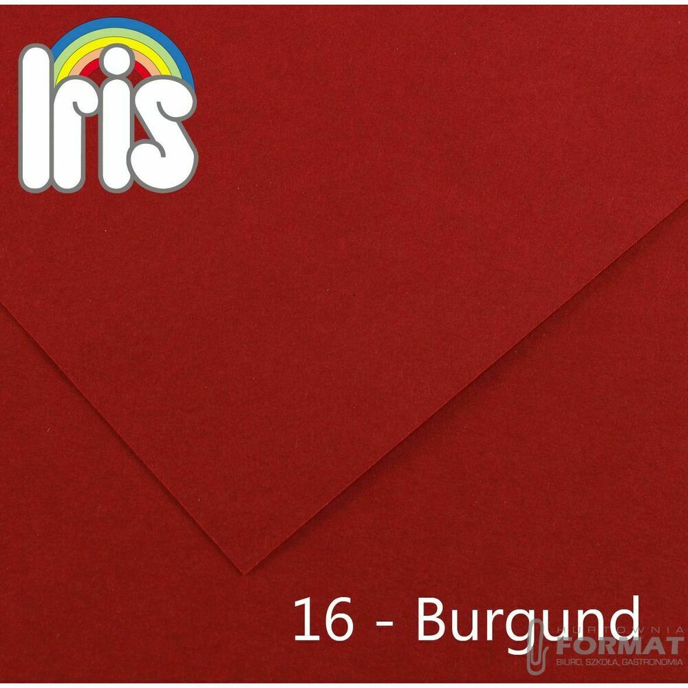 Brystol Canson A4 burgundowy 185g 50k (200040163) 1