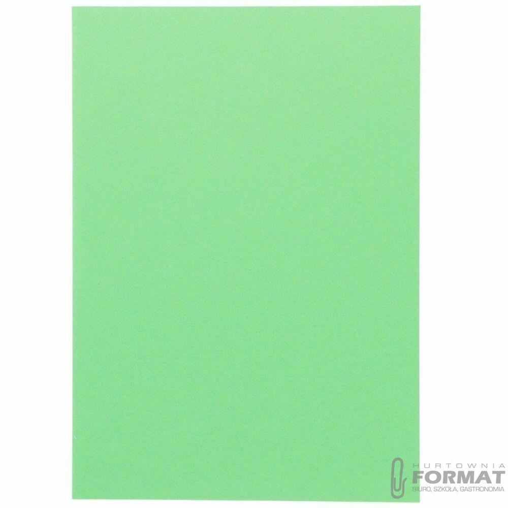 Brystol Canson A4 zielony jasny 185g 50k (200040172) 1
