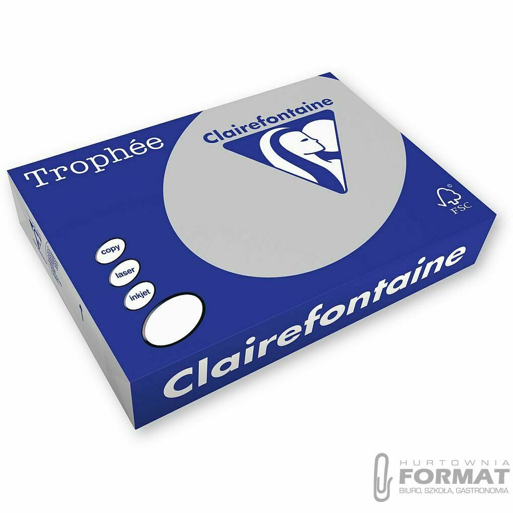 Papier kolorowy Trophee kolorowy A4 patelowy szary 160g (xca41009) 1