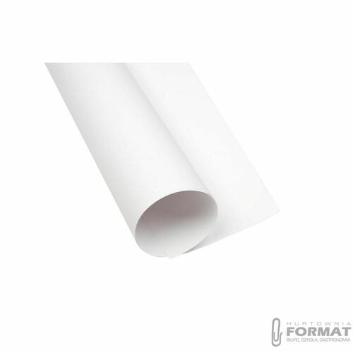 Brystol Creatinio biały B2 biały 300g 1k (400173615) 1