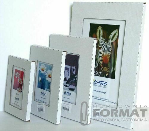 ANTYRAMA 40/60 PLEXI 1