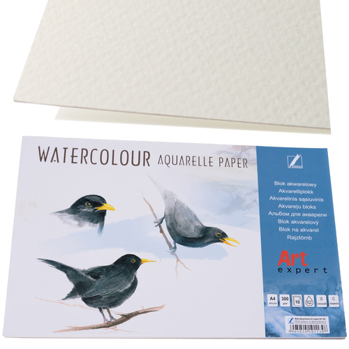 BLOK AKWARELOWY KRESKA ART EXPERT A4 10 KARTKOWY 300g/m2 1