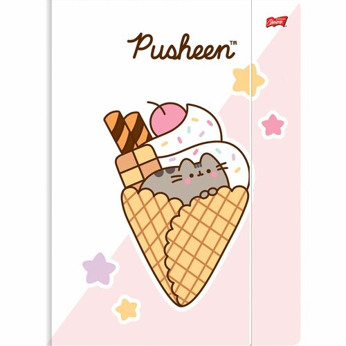 TECZKA Z GUMKĄ A4 300 g/m2 PUSHEEN mkmo 1