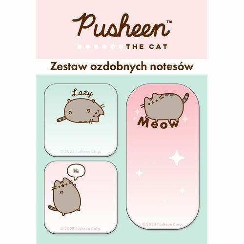 Zestaw 3 notesów ozdobnych Pusheen 1