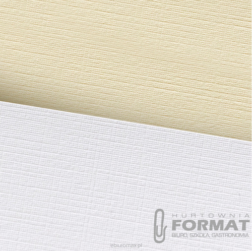 PAPIER WIZYTÓWKOWY HOLLAND BIAŁY 100G A50 206301 1