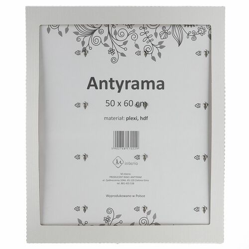 Antyrama M-interio plexi plexi [mm:] 500x600 (AR50x60) 1