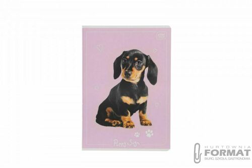 ZESZYT A5 16 KOL.3= uv PUPPY SI 1
