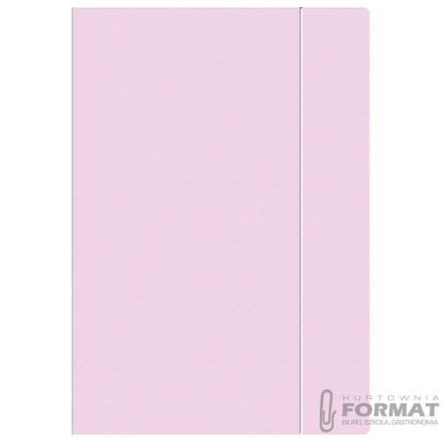 Teczka kartonowa na gumkę pastel HOLOGRAM A4+ mix Interdruk 1