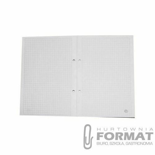 WKŁAD DO SEGREGATORA A4/100K BIAŁY INTERDRUK 1