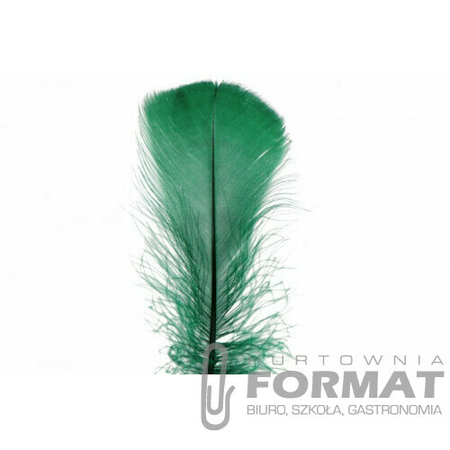 Piórka ciemnozielone 15 g 1