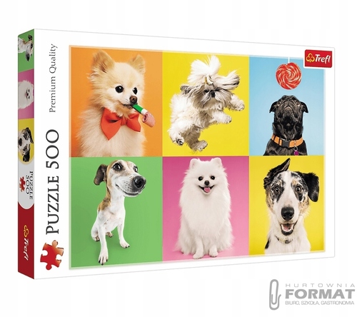 PUZZLE 500EL PSY 1