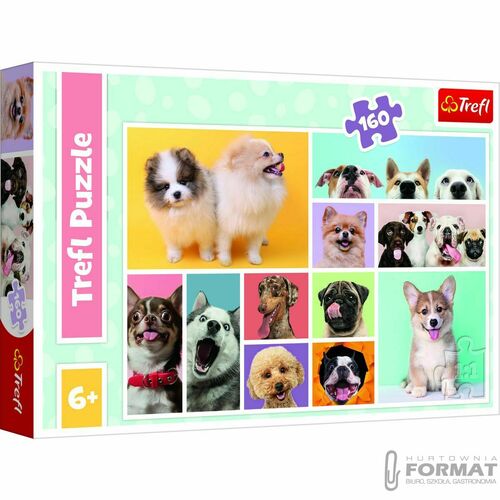 Puzzle Trefl Disney Psia przyjaźń 160 el. (15412) 1