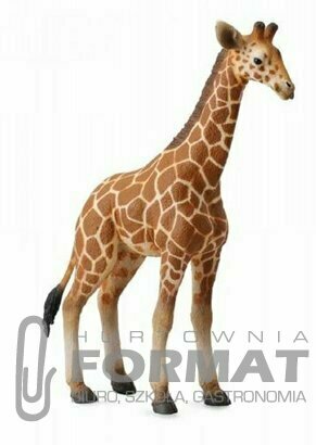 Żyrafa siatkowana cielę 88535 COLLECTA 1